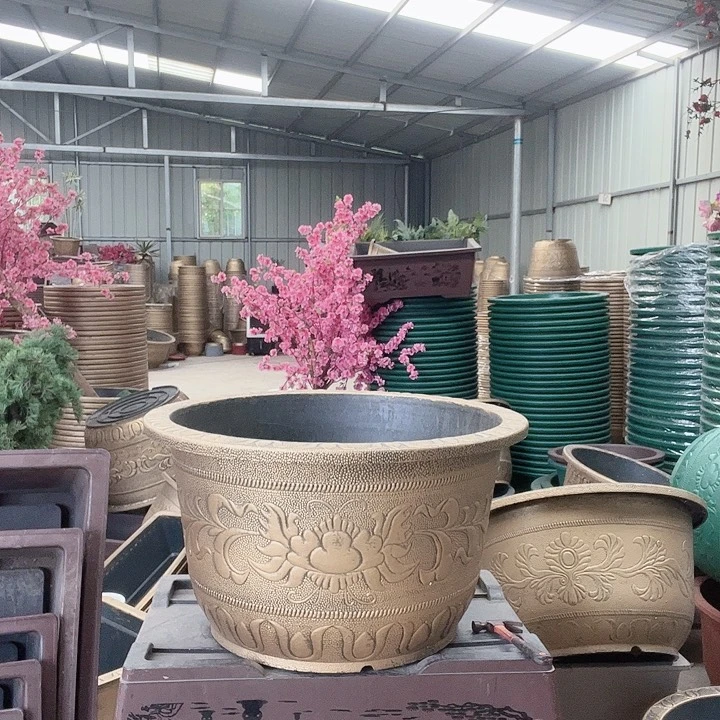 梅花照眼 依然旧风味