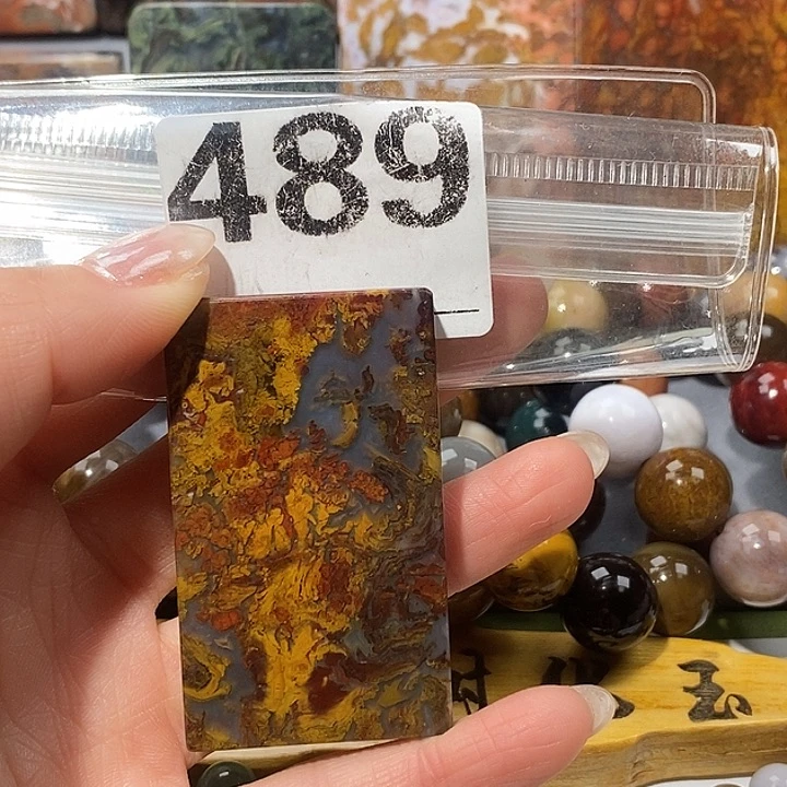 硅化玉未镶嵌天然北票树化玉吊坠