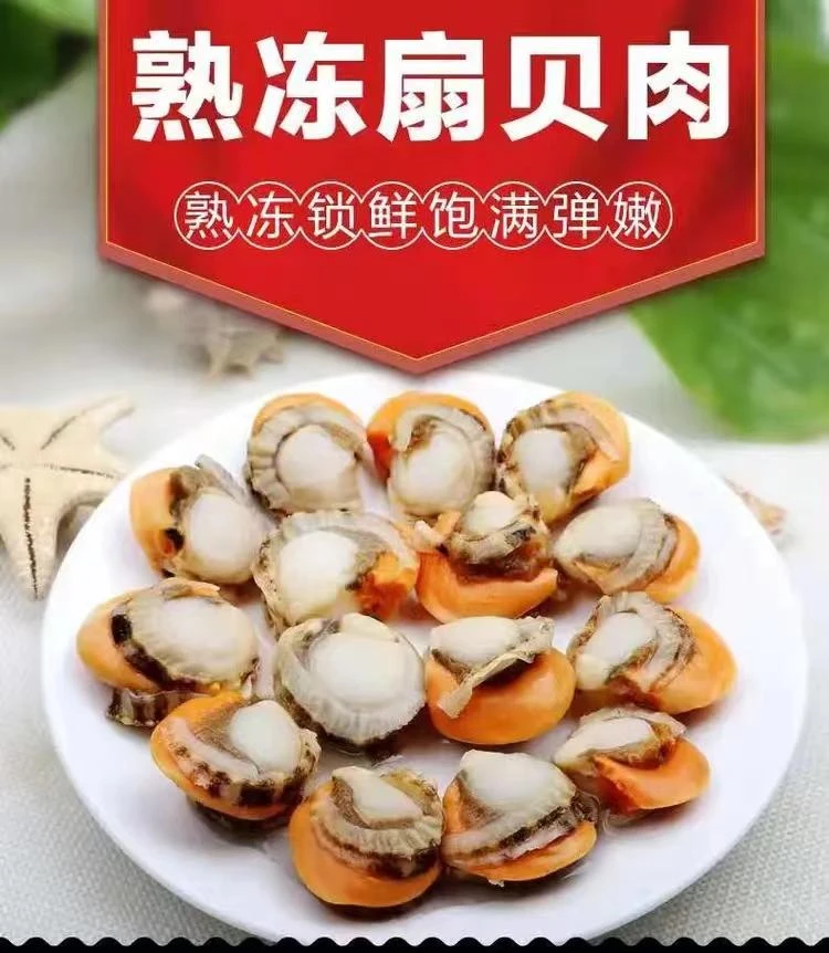 双11【顺丰包邮】大个现扒扇贝肉无壳无沙带黄3/5斤（400g/袋）