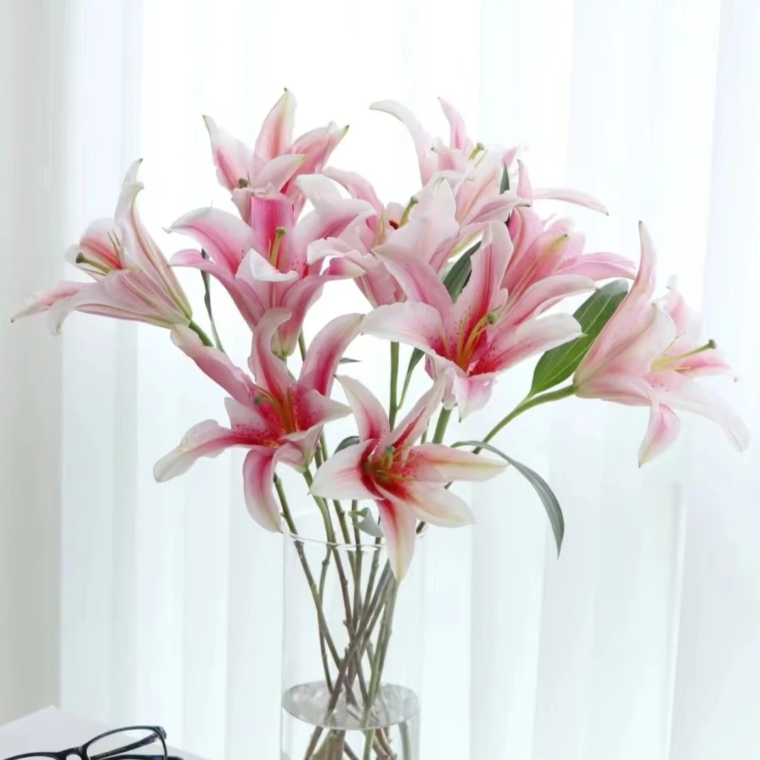 双头索帮百合5支