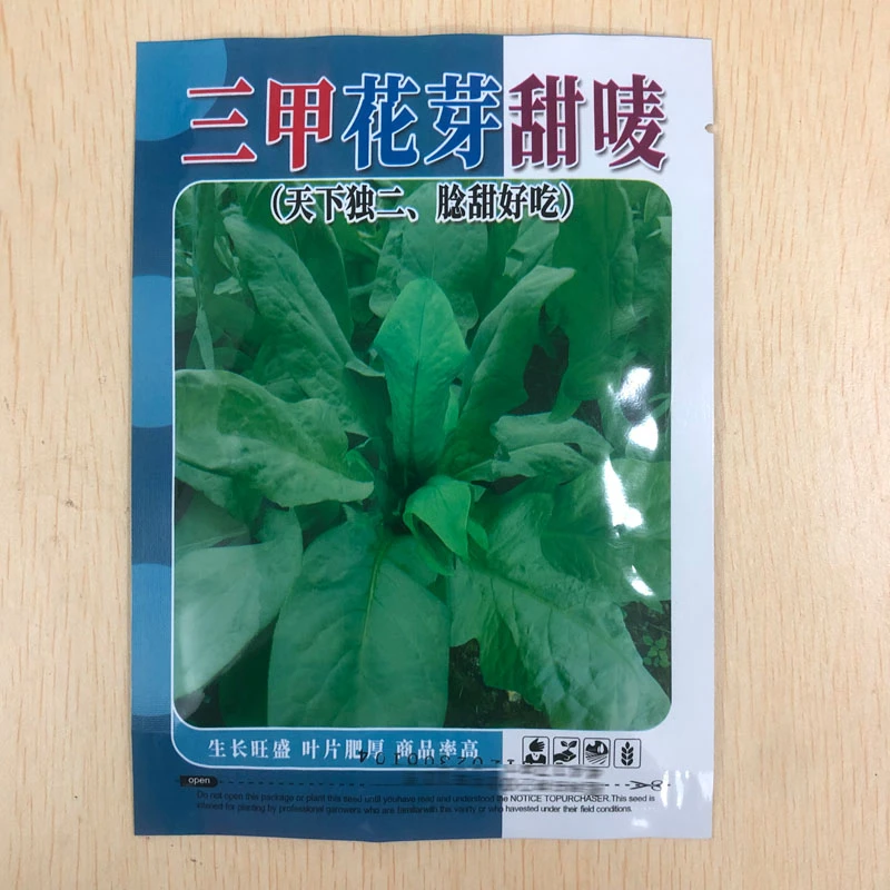 三甲花芽甜唛菜种籽四季种植甜脆可口生长快连续采收玻璃甜麦菜种
