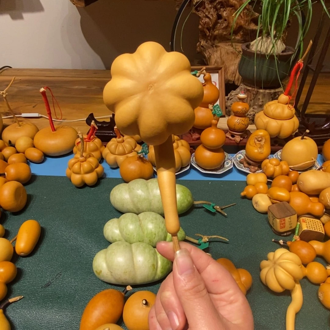 去***～有机玻璃葫芦链接，一物一拍