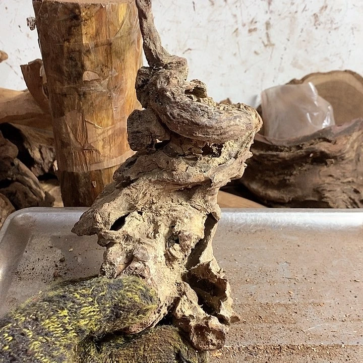 黄花梨/降香黄檀去**真