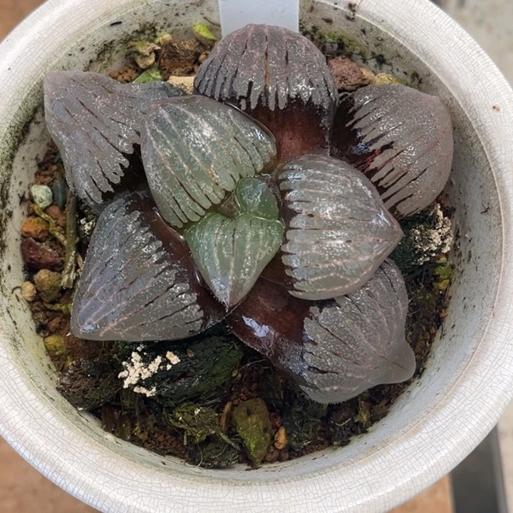 240电路板克发发发发发发