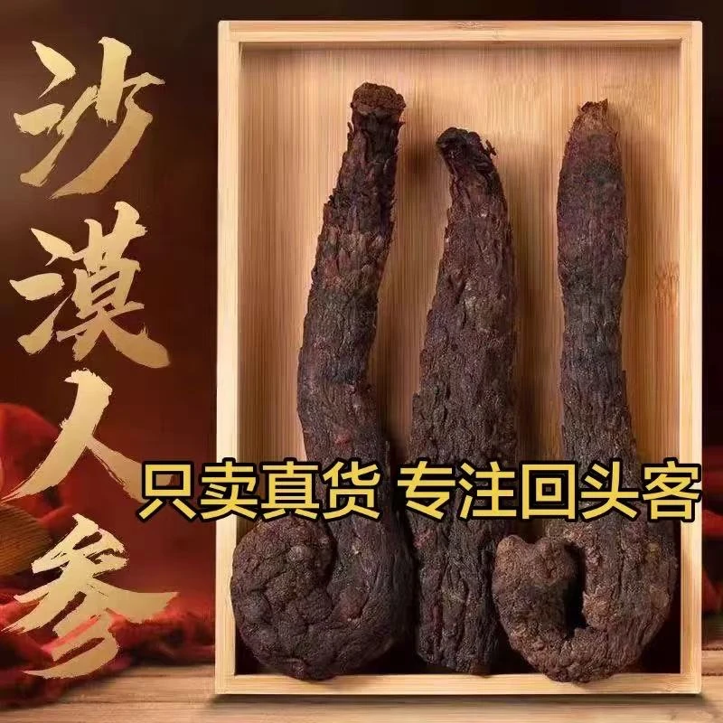内蒙阿拉善肉苁蓉整根可用于泡酒精选老根