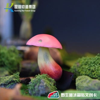 直播9.30（现货）见手青收藏票卡1个