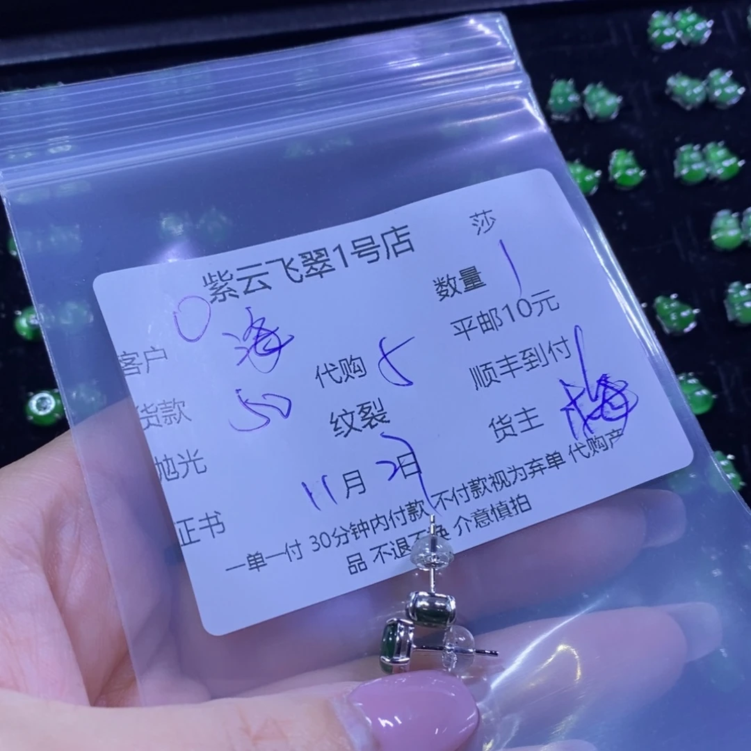 海***娜翡翠银S925镶嵌颈饰翡翠