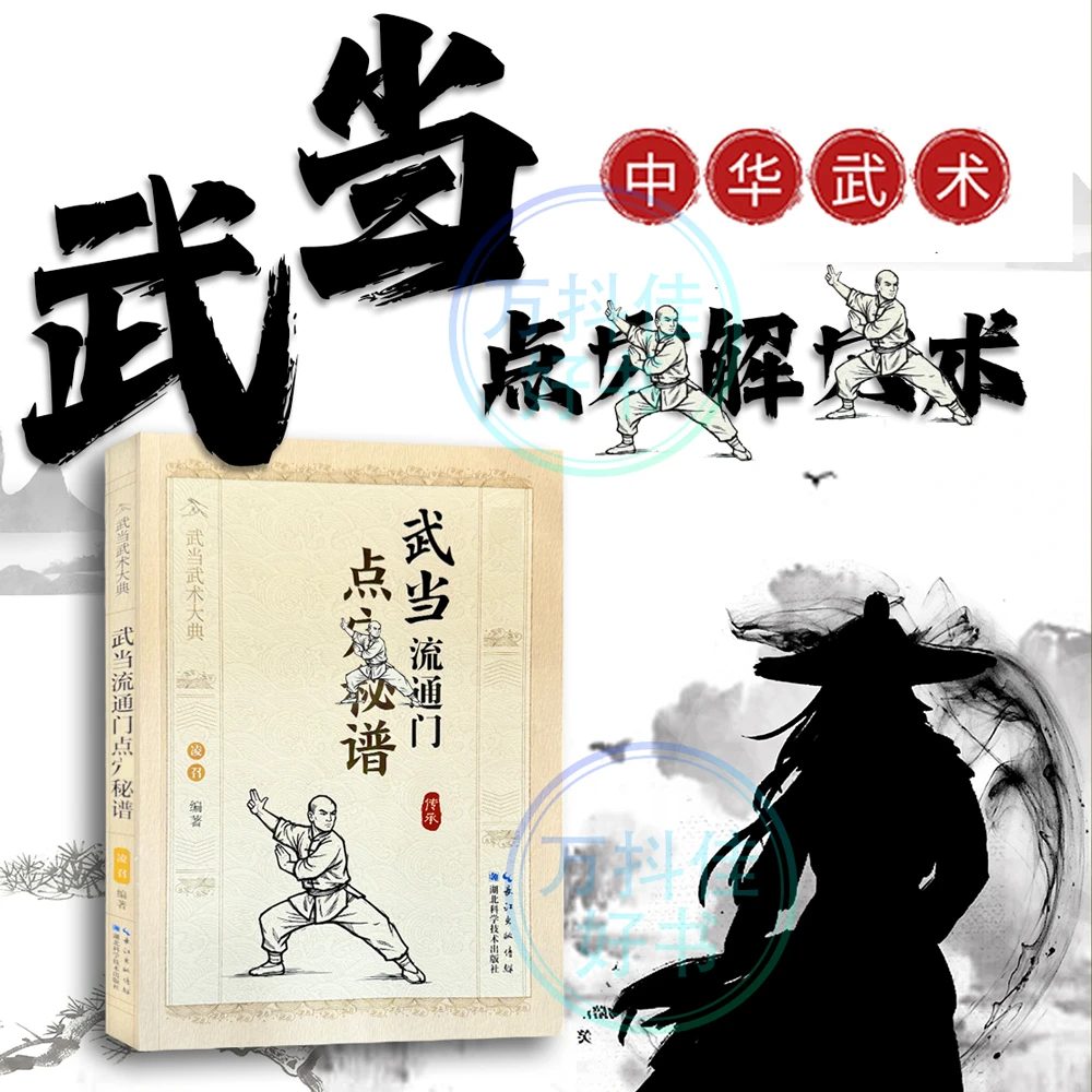 【正版速发】武当内家点六解六武术技击书籍传统文化