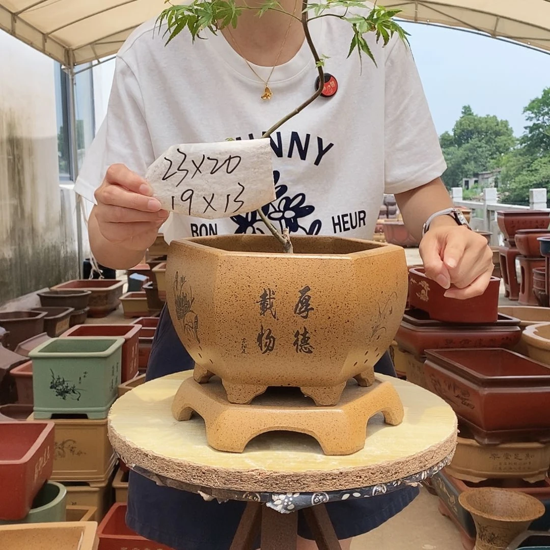 紫砂花盆紫砂花盆