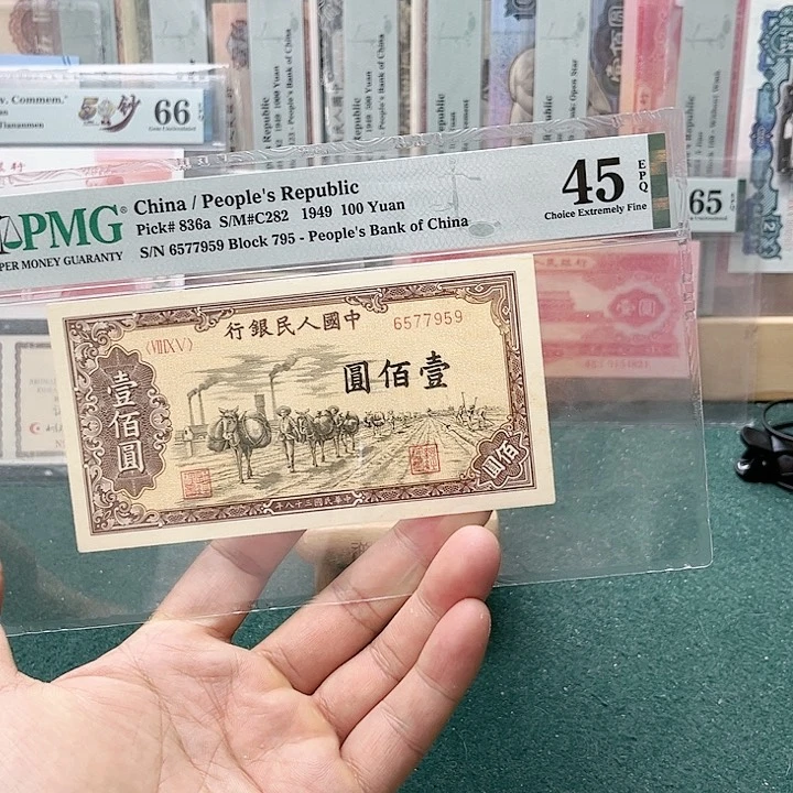 【闪购商品】64分一版驼运795-6577959