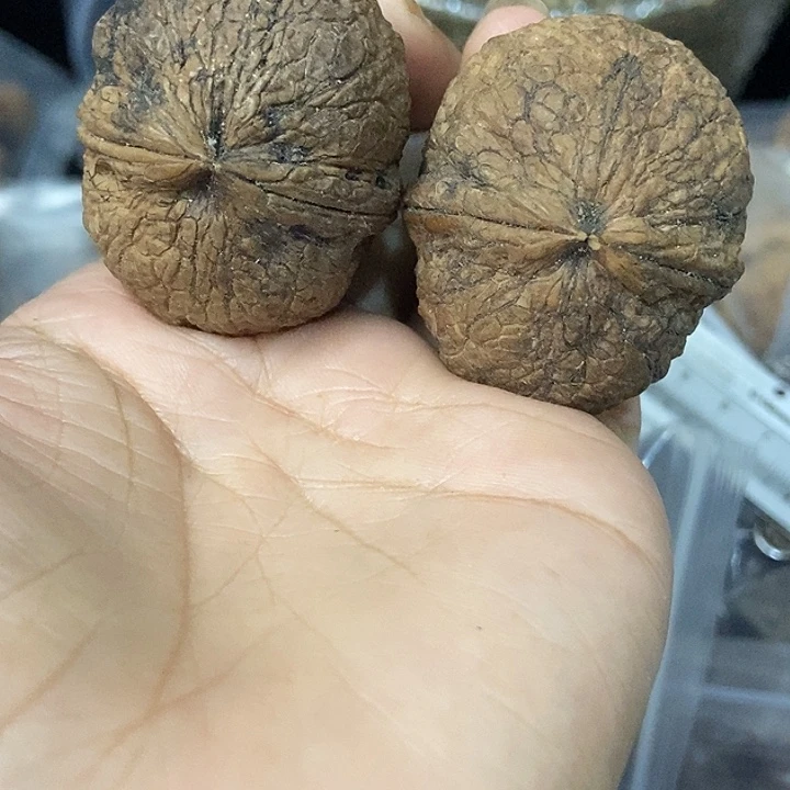 把件文玩核桃云南铁核桃基地69