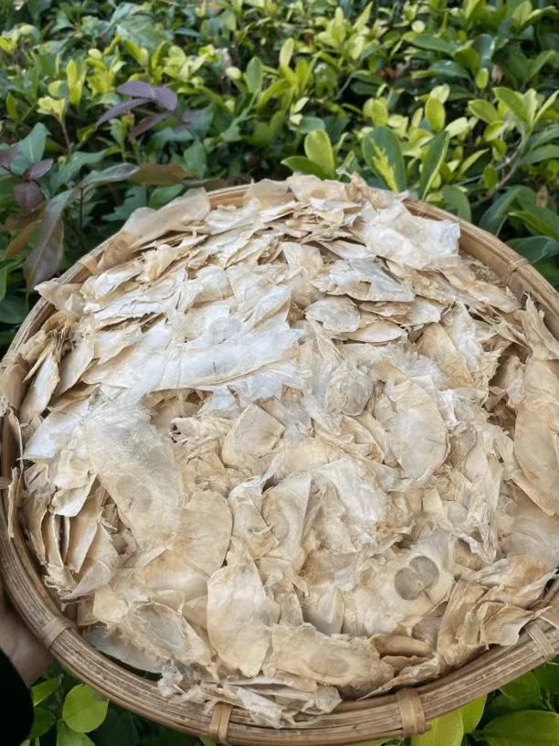 中缅大山土产 ~木蝴蝶【茶】