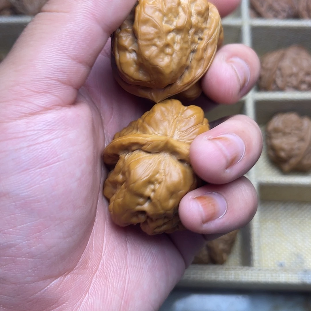 延山蜡皮蛤蟆头啊