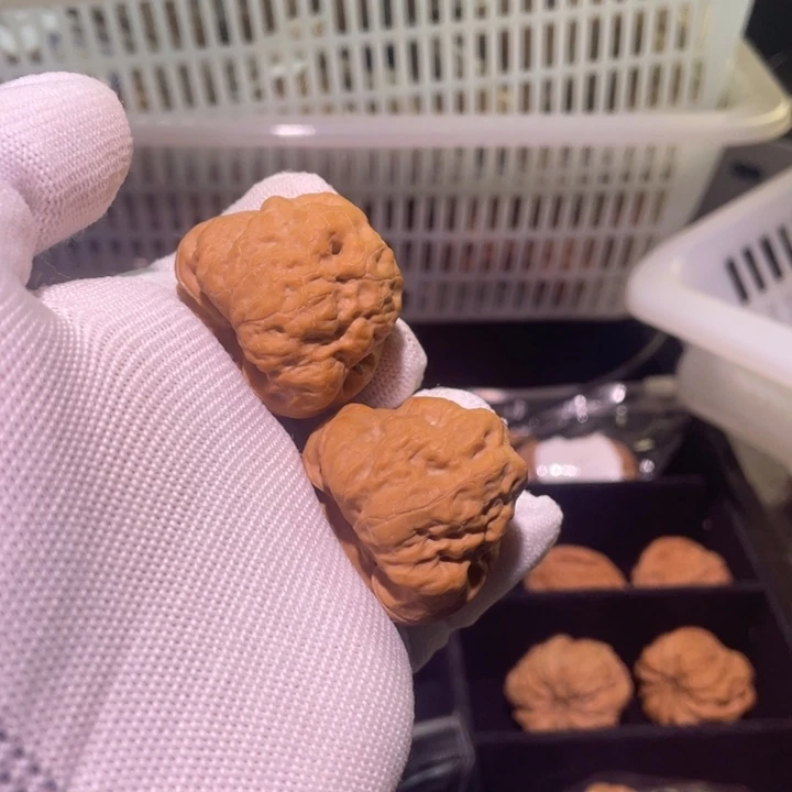 文玩核桃把件古蝉37