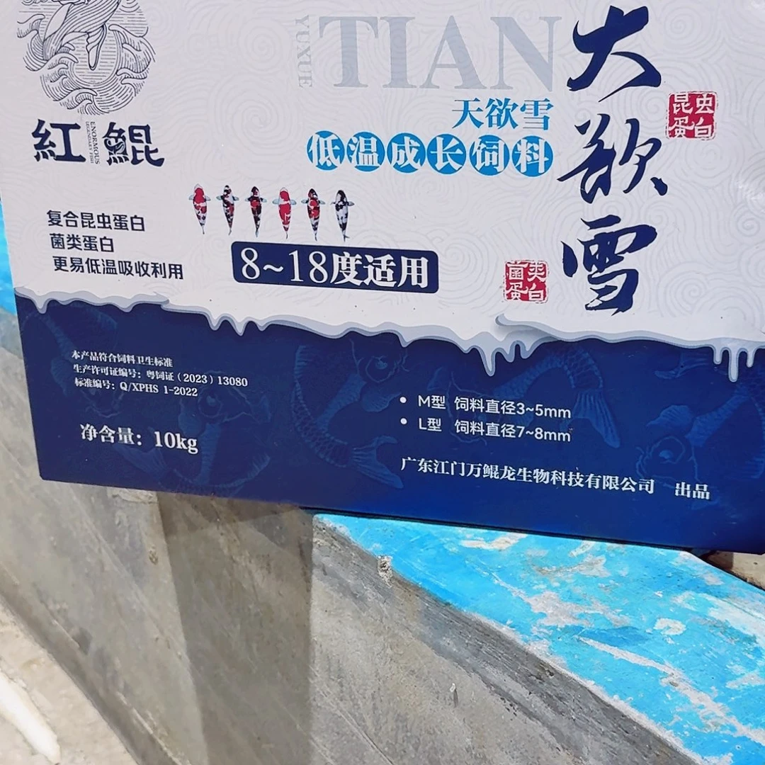 海水鱼佛山兴隆锦鲤