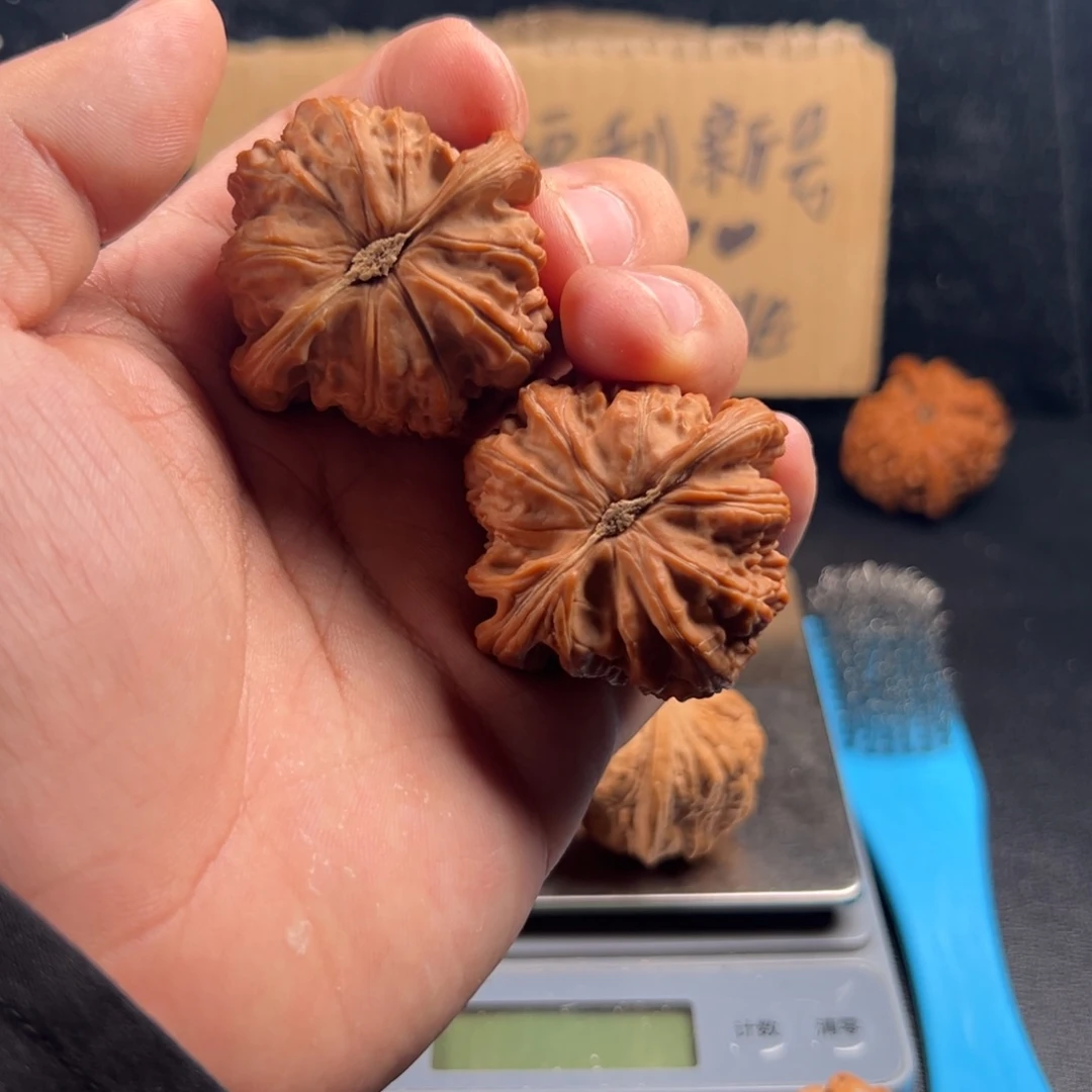 把件文玩核桃全品白狮子43红皮