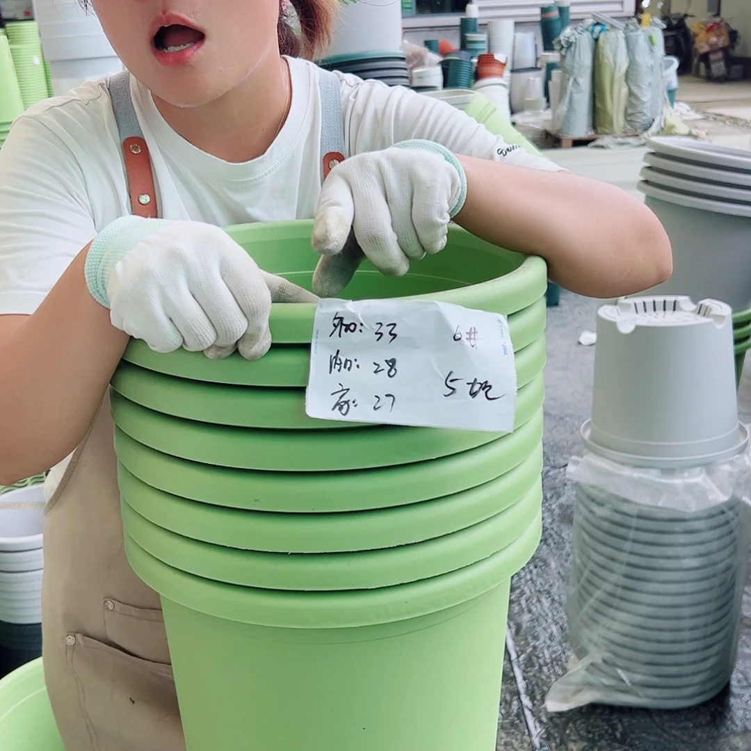 四季盆6#果绿色5个无托