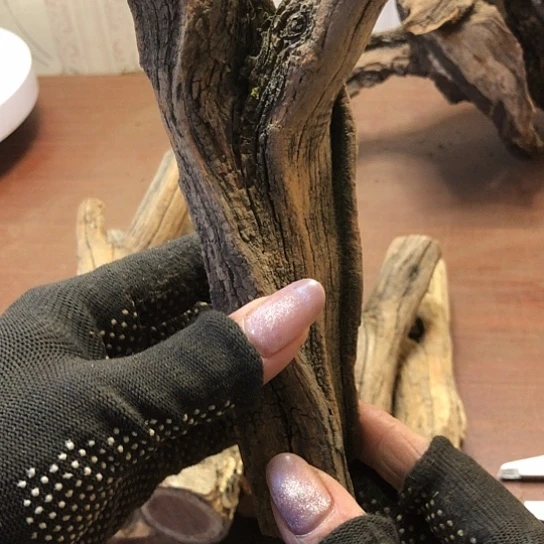 大果紫檀（缅甸花梨）阿**༽
