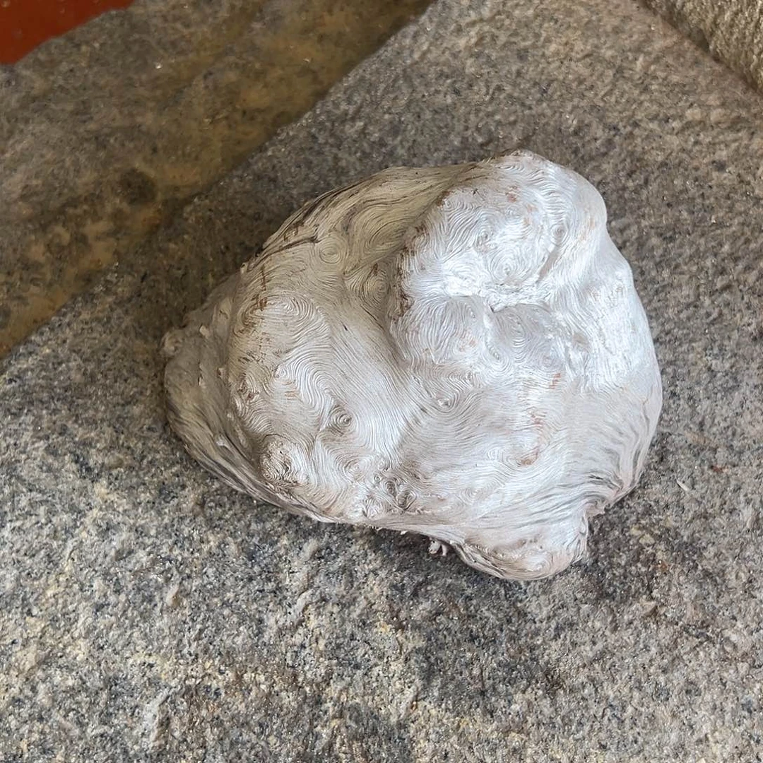 荔枝木芊*荔枝木毛料