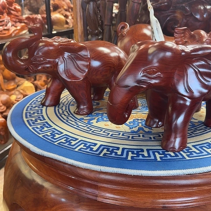 大果紫檀（缅甸花梨）