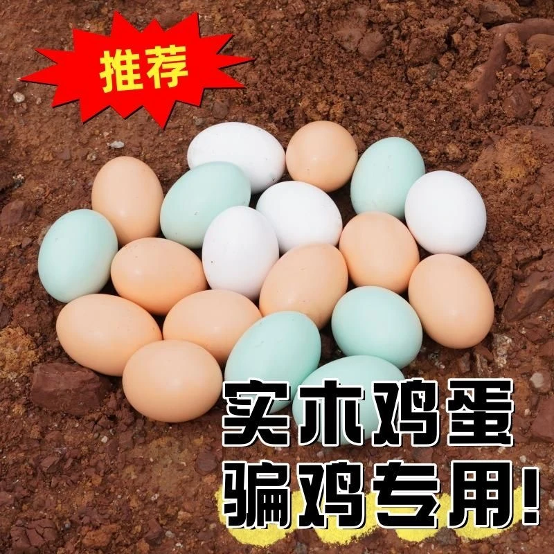 仿真蛋木头模型实心木质引窝蛋*30