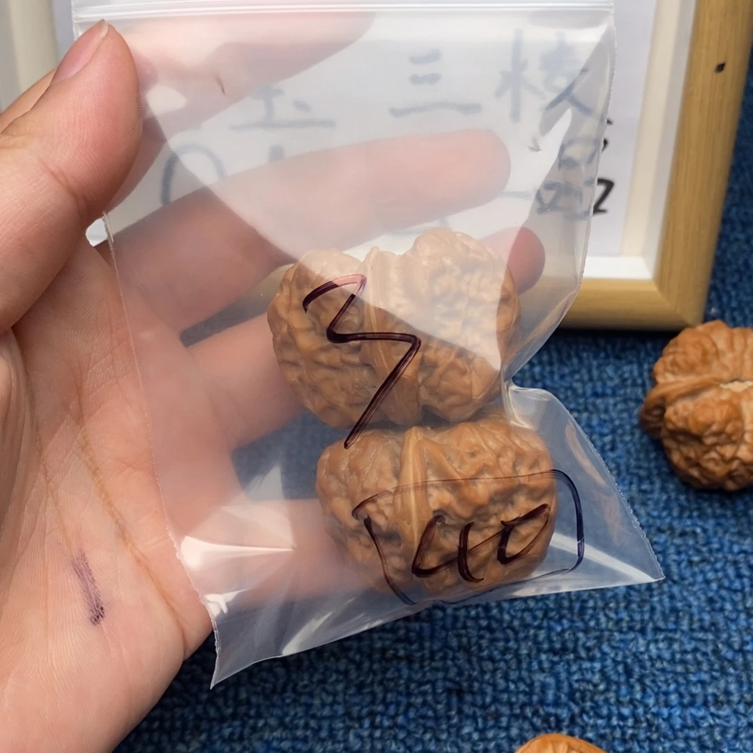 核桃哈哈哈哈哈哈哈哈哈哈哈哈哈