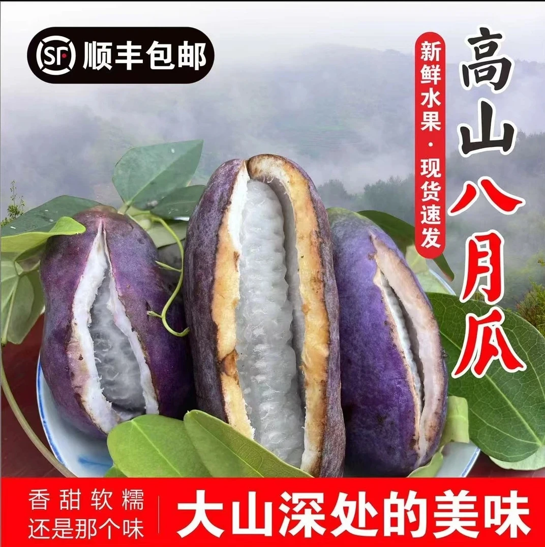 【八月瓜】贵州当季八月瓜新鲜现摘软糯香甜顺丰包邮