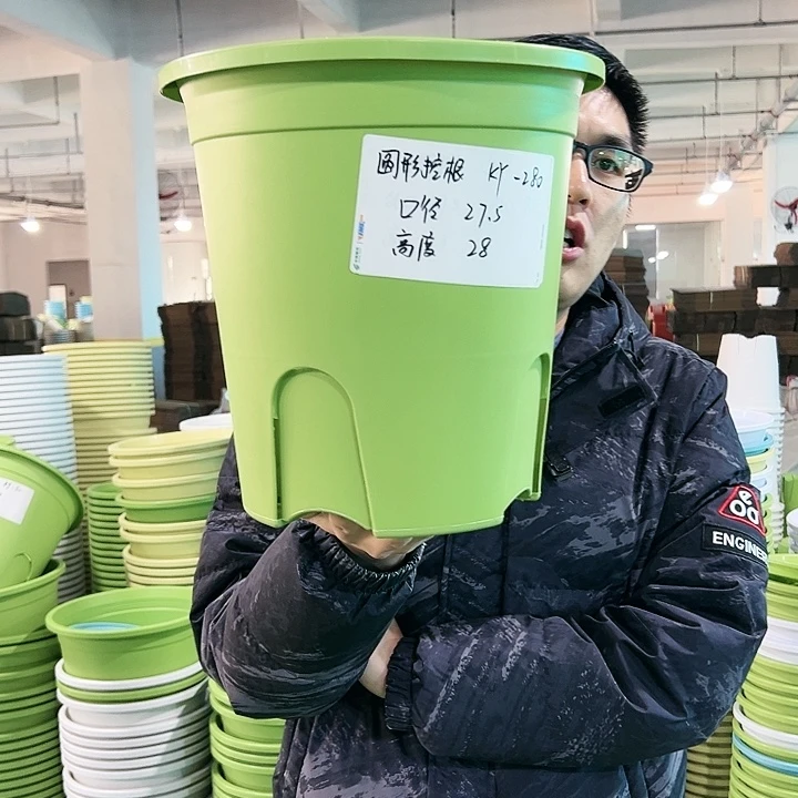 正品圆控口27.5高28果绿无托5只