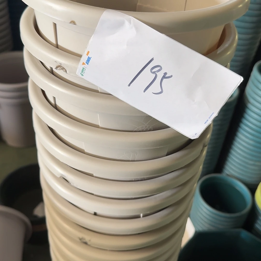 编号195-6个缺口