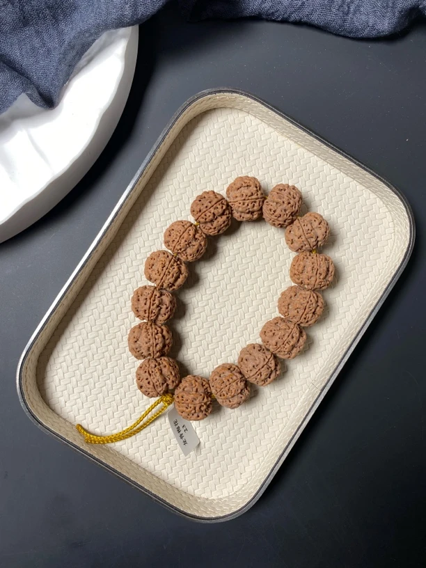 【龙骨梅花】头货严选五瓣蜂窝双龙梅花金刚菩提规整度高通透牛筋红