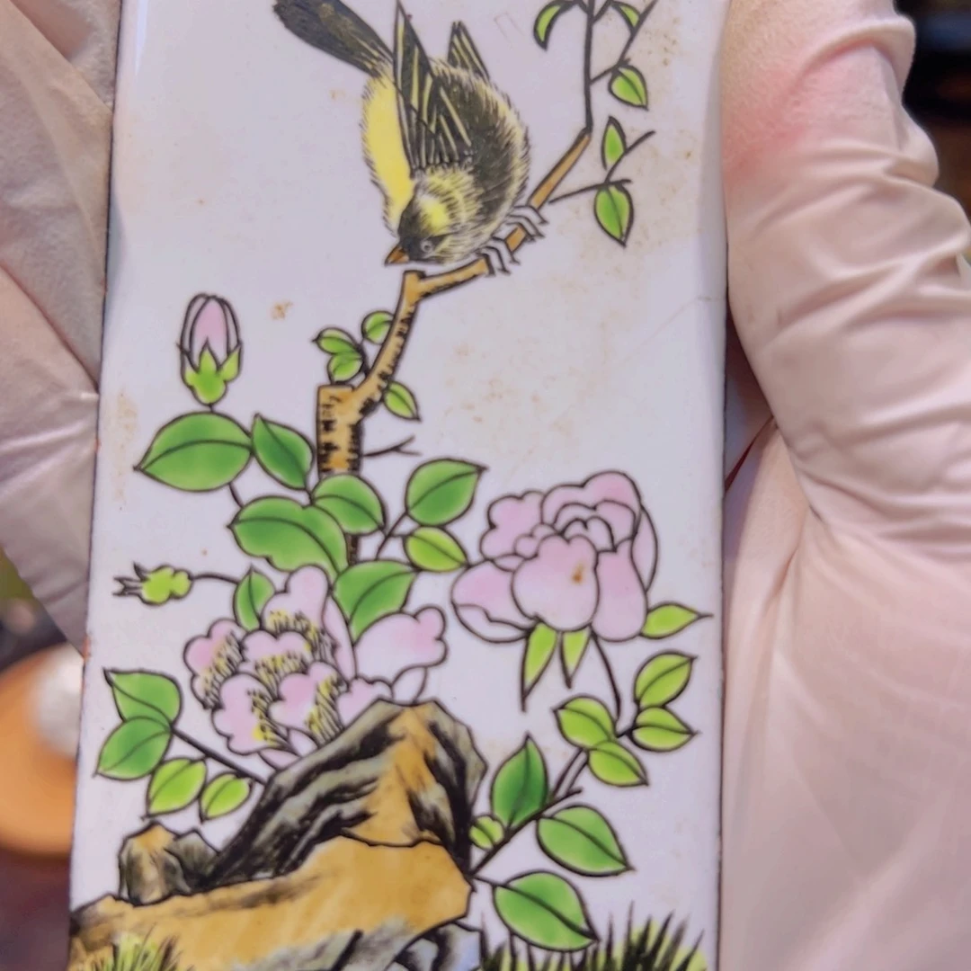 哈哈哈哈哈哈哈哈龙**6