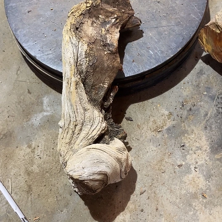 竹***人柏木崖柏崖柏崖柏崖柏