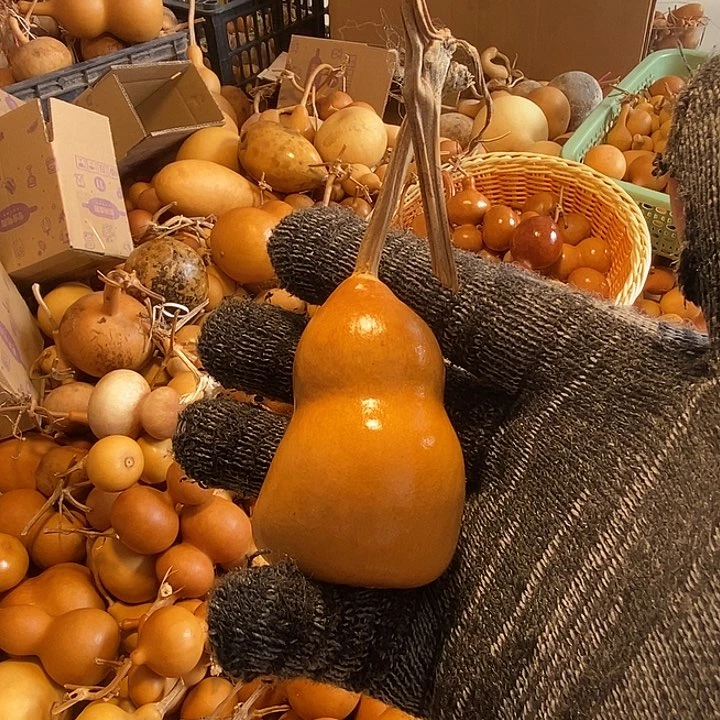 玩***青不退不换运输途中不保龙头完美主义者勿拍