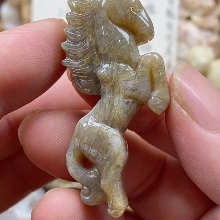 颈饰未镶嵌硅化珊瑚（珊瑚玉）