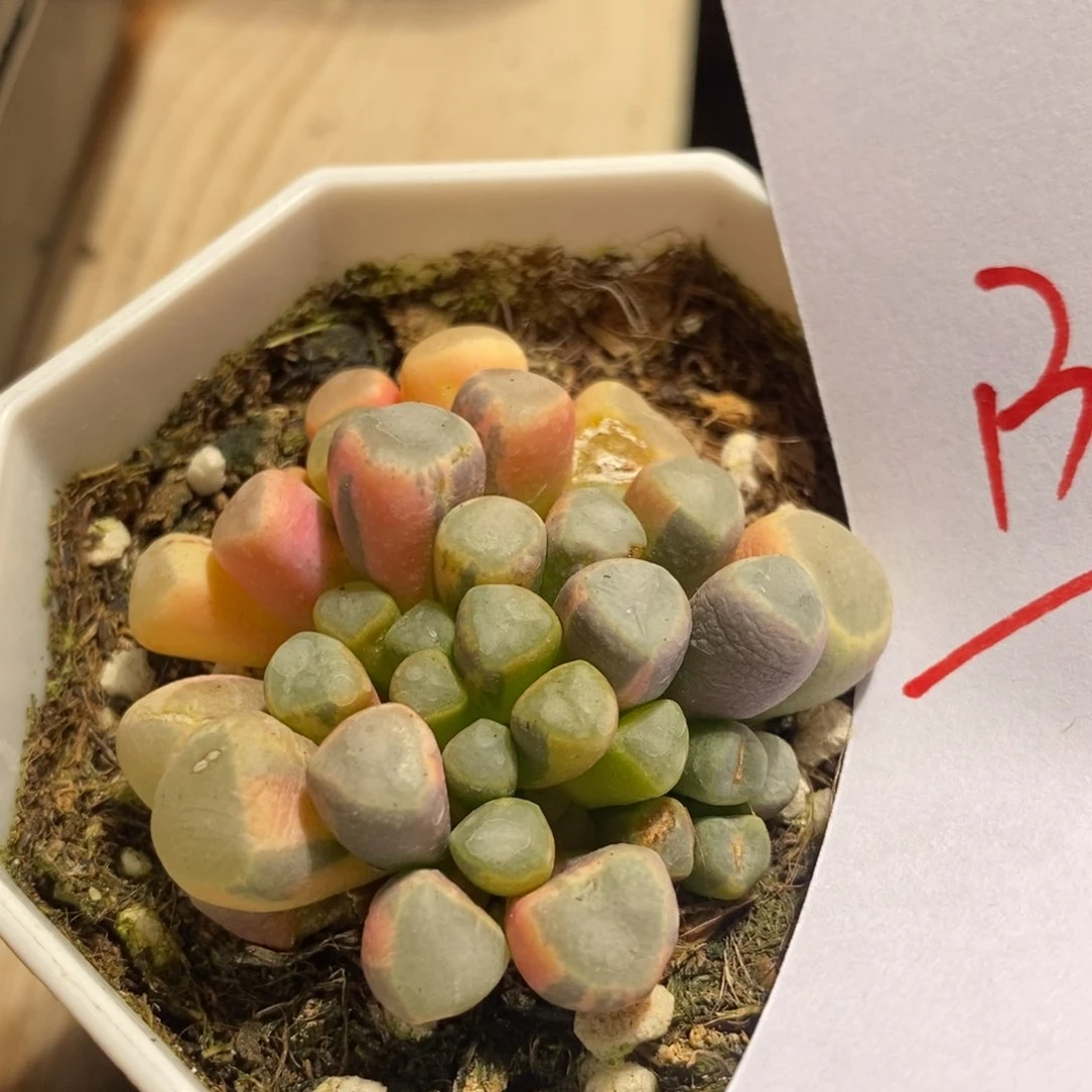 肃**?13145一个一个一个