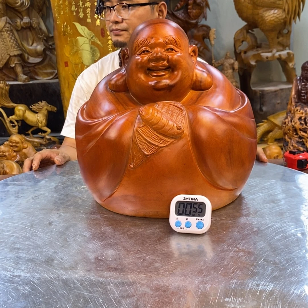 春***雨木香樟木高度35厘米