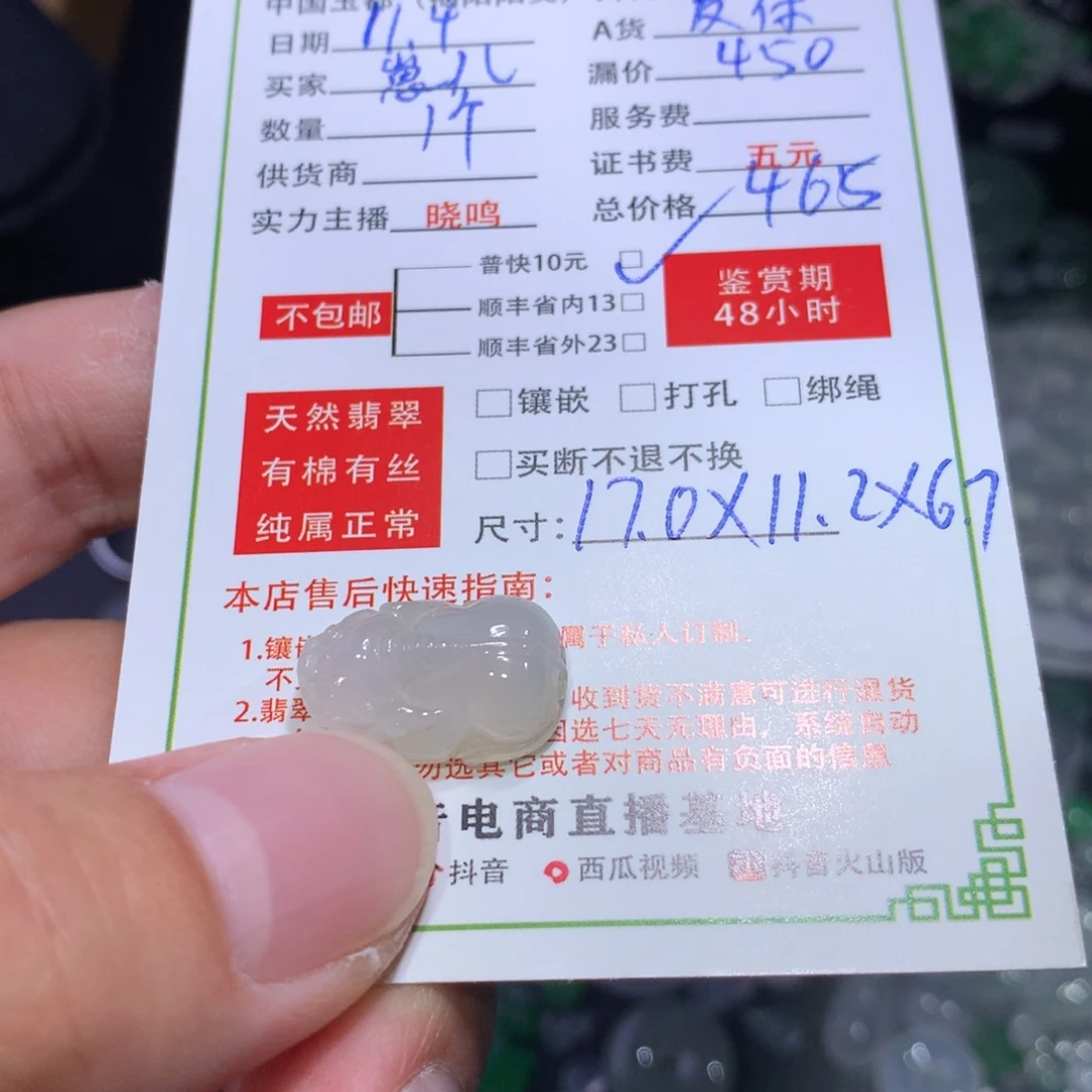 C****翡翠未镶嵌颈饰貔貅