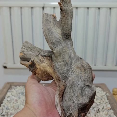 我***术柏木崖柏根艺根雕天然