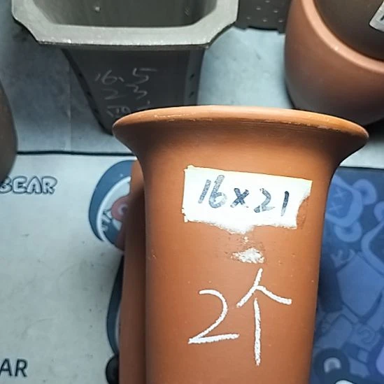 小红兰花两个微瑕