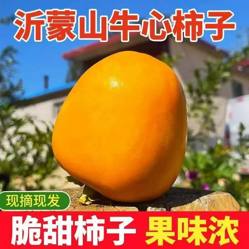 正宗沂蒙山牛心冰糖心柿巧克力芒果 软硬两吃软不属实售后范围