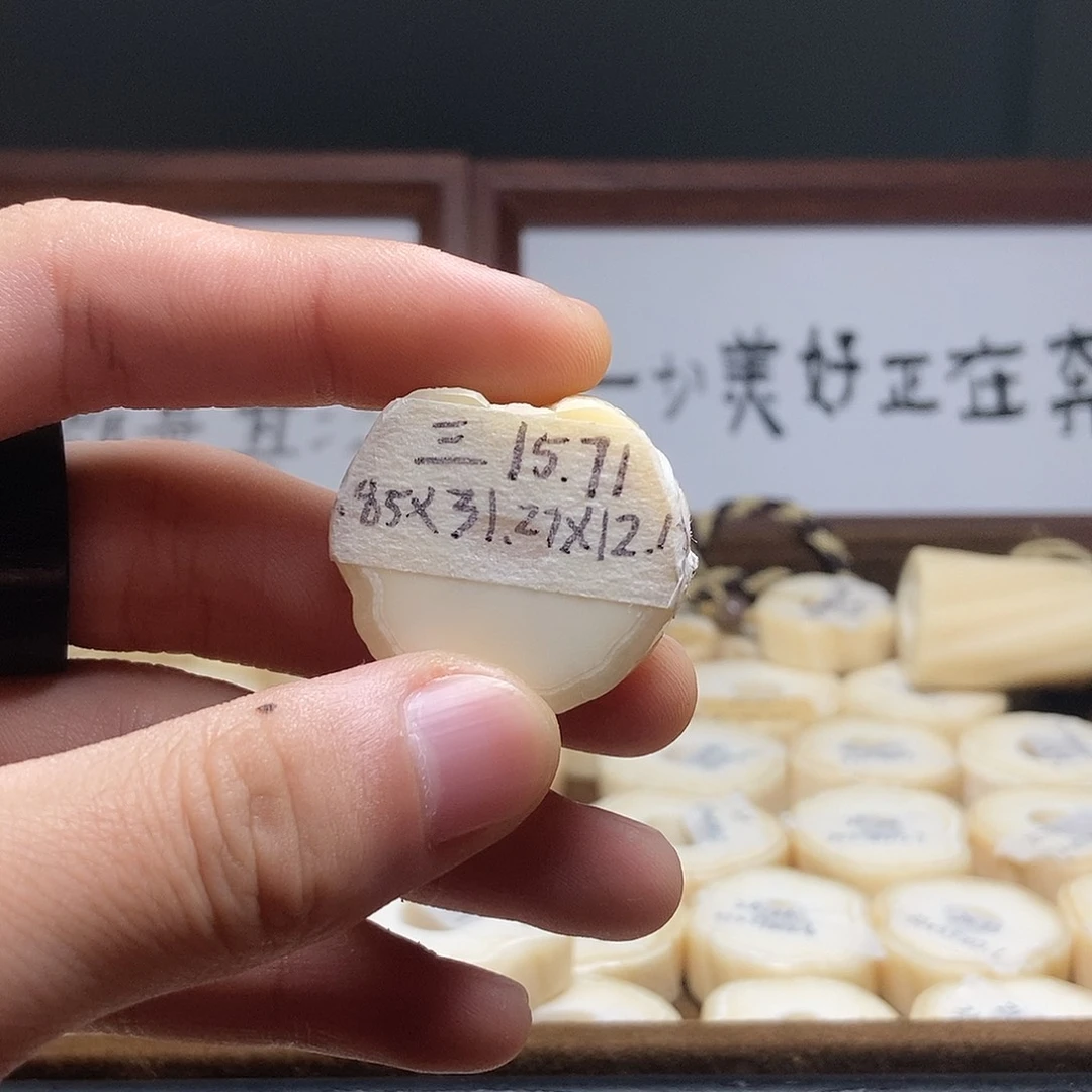 手串/手链/手镯猛犸象牙独独三类15.71g饼子