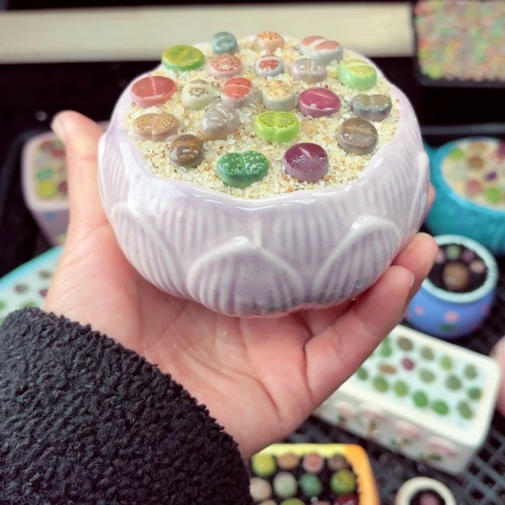 859零下地区记得拍保温箱满18包邮