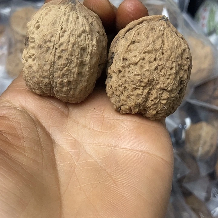 把件文玩核桃云南铁核桃基地8