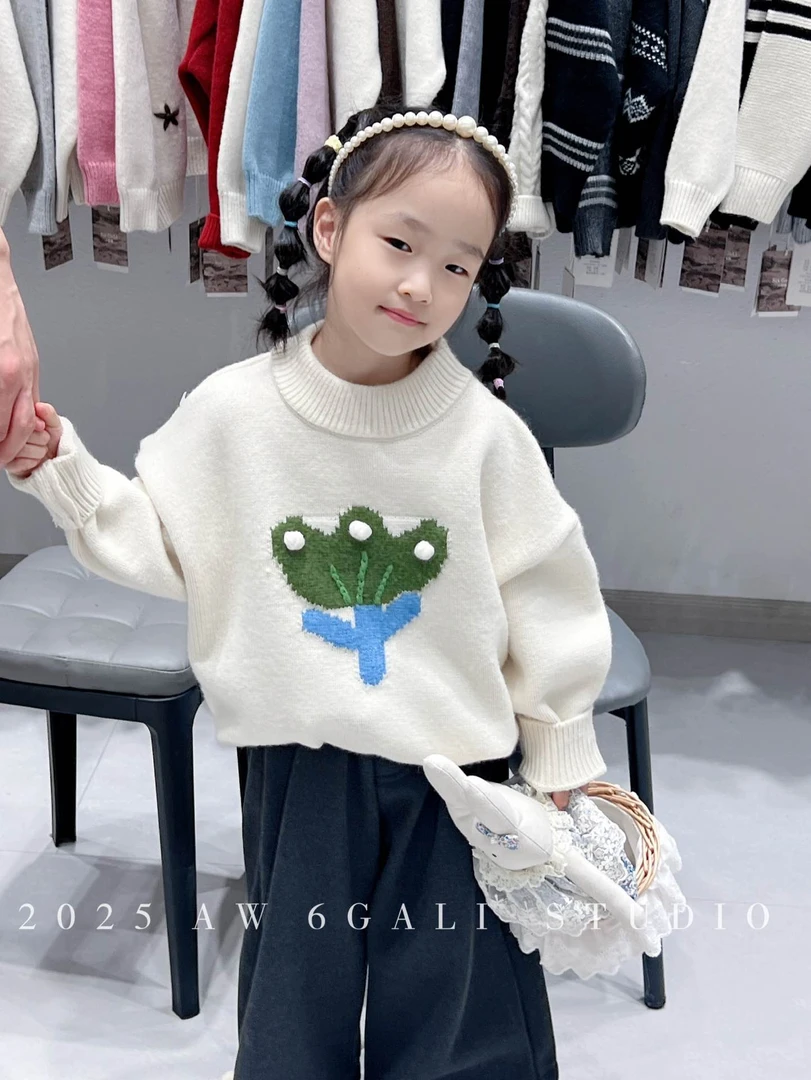 LGL- 68132  高货小草百搭洋气毛衣