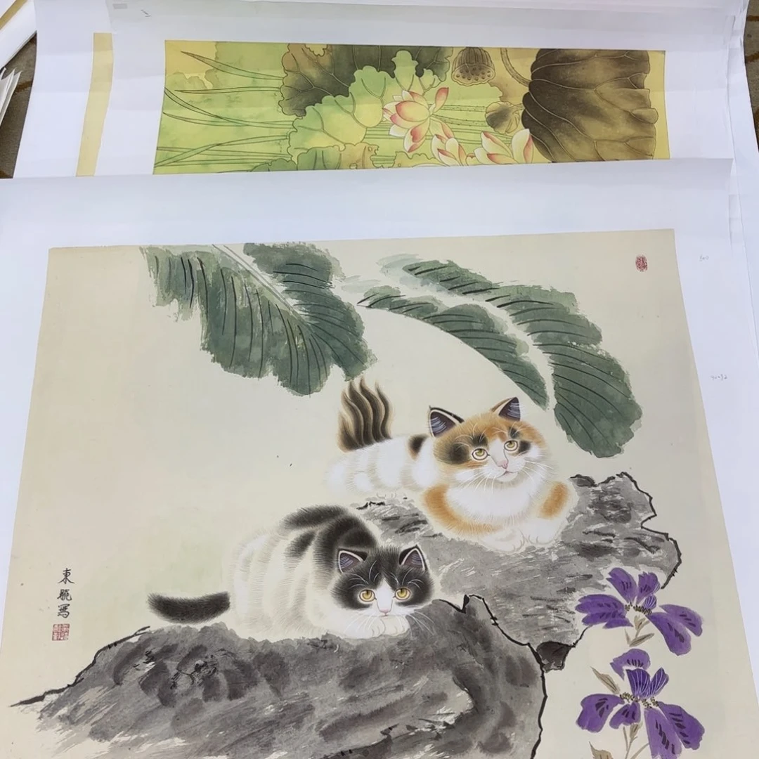 国画靜*徐东晓李欣主播