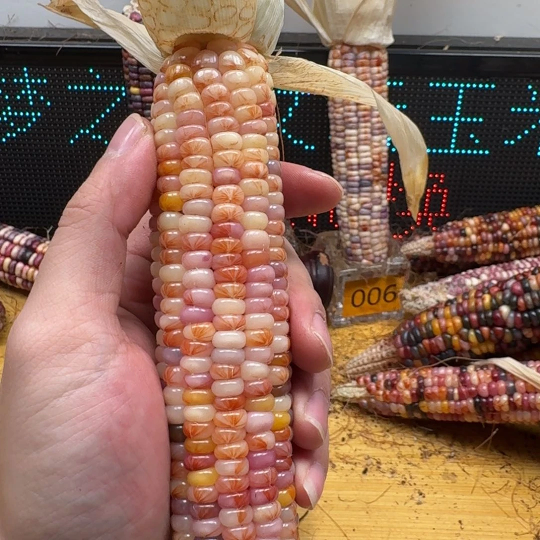 ****我柏香籽/百香籽吊坠