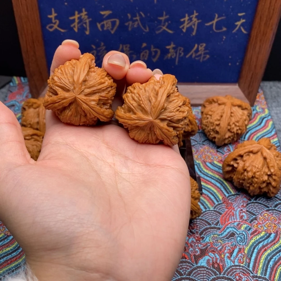 【闪购商品】有***瓜白狮