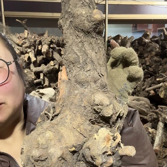 香榧木随**S火琉璃的故事毛料摆件