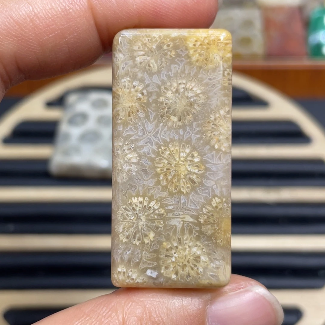 硅化玉未镶嵌颈饰k23