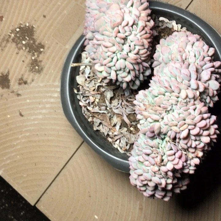 阳**丽23//////////////////////